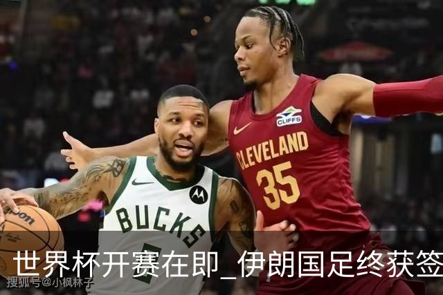世界杯开赛在即 伊朗国足终获签证
