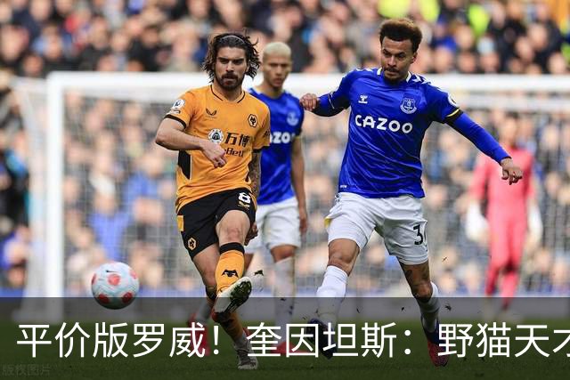 平价版罗威！奎因坦斯：野猫天才内线 存伤病隐患 罚球致敬米切罗