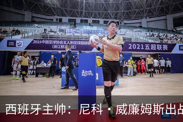 西班牙主帅：尼科·威廉姆斯出战存疑 皮诺或缺席剩余比赛