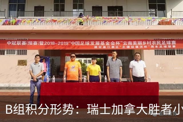 B组积分形势：瑞士加拿大胜者小组第一 平局保携手出线